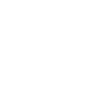 the-argentino